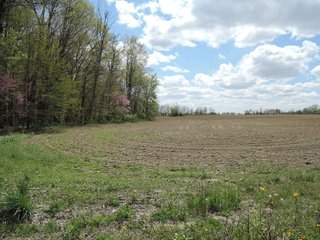 Delaware County, Indiana Farmland - IMPORTANT LAND AUCTION - 320+/- ACRES OFFERED IN 10 TRACTS IN DELAWARE COUNTY, INDIANA
