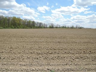 Delaware County, Indiana Farmland - IMPORTANT LAND AUCTION - 320+/- ACRES OFFERED IN 10 TRACTS IN DELAWARE COUNTY, INDIANA