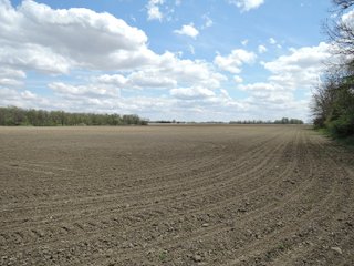 Delaware County, Indiana Farmland - IMPORTANT LAND AUCTION - 320+/- ACRES OFFERED IN 10 TRACTS IN DELAWARE COUNTY, INDIANA