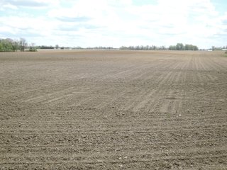 Delaware County, Indiana Farmland - IMPORTANT LAND AUCTION - 320+/- ACRES OFFERED IN 10 TRACTS IN DELAWARE COUNTY, INDIANA