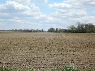Delaware County, Indiana Farmland - IMPORTANT LAND AUCTION - 320+/- ACRES OFFERED IN 10 TRACTS IN DELAWARE COUNTY, INDIANA