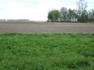 Delaware County, Indiana Farmland - IMPORTANT LAND AUCTION - 320+/- ACRES OFFERED IN 10 TRACTS IN DELAWARE COUNTY, INDIANA