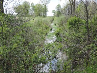 Delaware County, Indiana Farmland - IMPORTANT LAND AUCTION - 320+/- ACRES OFFERED IN 10 TRACTS IN DELAWARE COUNTY, INDIANA