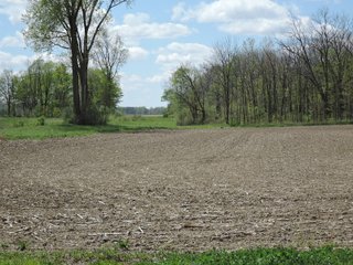 Delaware County, Indiana Farmland - IMPORTANT LAND AUCTION - 320+/- ACRES OFFERED IN 10 TRACTS IN DELAWARE COUNTY, INDIANA
