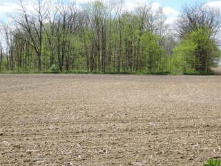 Delaware County, Indiana Farmland - IMPORTANT LAND AUCTION - 320+/- ACRES OFFERED IN 10 TRACTS IN DELAWARE COUNTY, INDIANA