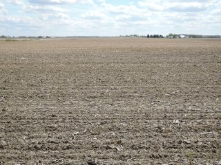 Delaware County, Indiana Farmland - IMPORTANT LAND AUCTION - 320+/- ACRES OFFERED IN 10 TRACTS IN DELAWARE COUNTY, INDIANA