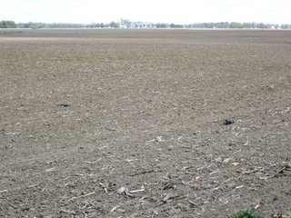 Delaware County, Indiana Farmland - IMPORTANT LAND AUCTION - 320+/- ACRES OFFERED IN 10 TRACTS IN DELAWARE COUNTY, INDIANA
