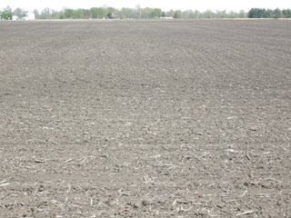 Delaware County, Indiana Farmland - IMPORTANT LAND AUCTION - 320+/- ACRES OFFERED IN 10 TRACTS IN DELAWARE COUNTY, INDIANA