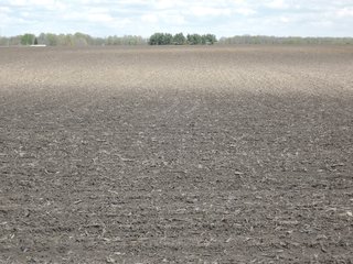 Delaware County, Indiana Farmland - IMPORTANT LAND AUCTION - 320+/- ACRES OFFERED IN 10 TRACTS IN DELAWARE COUNTY, INDIANA