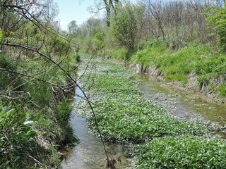 Delaware County, Indiana Farmland - IMPORTANT LAND AUCTION - 320+/- ACRES OFFERED IN 10 TRACTS IN DELAWARE COUNTY, INDIANA