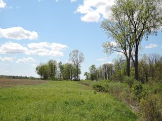 Delaware County, Indiana Farmland - IMPORTANT LAND AUCTION - 320+/- ACRES OFFERED IN 10 TRACTS IN DELAWARE COUNTY, INDIANA