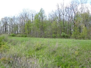Delaware County, Indiana Farmland - IMPORTANT LAND AUCTION - 320+/- ACRES OFFERED IN 10 TRACTS IN DELAWARE COUNTY, INDIANA