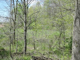 Delaware County, Indiana Farmland - IMPORTANT LAND AUCTION - 320+/- ACRES OFFERED IN 10 TRACTS IN DELAWARE COUNTY, INDIANA