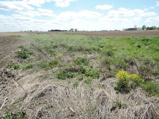 Delaware County, Indiana Farmland - IMPORTANT LAND AUCTION - 320+/- ACRES OFFERED IN 10 TRACTS IN DELAWARE COUNTY, INDIANA