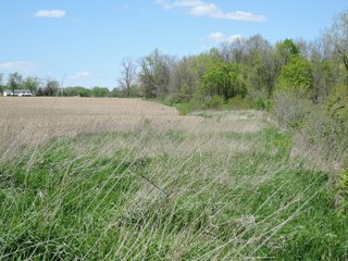 Delaware County, Indiana Farmland - IMPORTANT LAND AUCTION - 320+/- ACRES OFFERED IN 10 TRACTS IN DELAWARE COUNTY, INDIANA