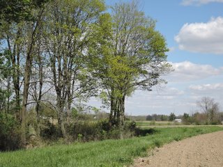 Delaware County, Indiana Farmland - IMPORTANT LAND AUCTION - 320+/- ACRES OFFERED IN 10 TRACTS IN DELAWARE COUNTY, INDIANA