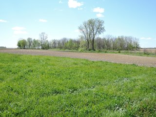 Delaware County, Indiana Farmland - IMPORTANT LAND AUCTION - 320+/- ACRES OFFERED IN 10 TRACTS IN DELAWARE COUNTY, INDIANA
