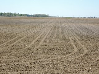 Delaware County, Indiana Farmland - IMPORTANT LAND AUCTION - 320+/- ACRES OFFERED IN 10 TRACTS IN DELAWARE COUNTY, INDIANA