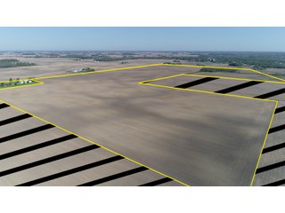 Delaware County, Indiana Farmland - IMPORTANT LAND AUCTION - 320+/- ACRES OFFERED IN 10 TRACTS IN DELAWARE COUNTY, INDIANA