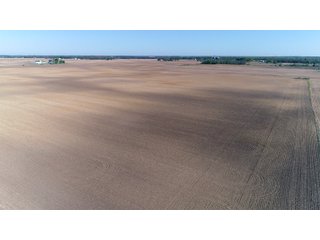 Delaware County, Indiana Farmland - IMPORTANT LAND AUCTION - 320+/- ACRES OFFERED IN 10 TRACTS IN DELAWARE COUNTY, INDIANA