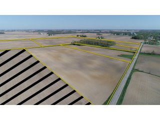 Tracts 2-6 in Delaware County, Indiana Farmland - IMPORTANT LAND AUCTION - 320+/- ACRES OFFERED IN 10 TRACTS IN DELAWARE COUNTY, INDIANA