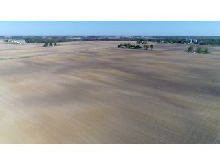 Delaware County, Indiana Farmland - IMPORTANT LAND AUCTION - 320+/- ACRES OFFERED IN 10 TRACTS IN DELAWARE COUNTY, INDIANA