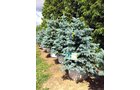 Property photo 23 - PERSONAL PROPERTY AUCTION IN ALLEN COUNTY, INDIANA