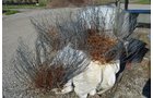 Property photo 25 - PERSONAL PROPERTY AUCTION IN ALLEN COUNTY, INDIANA
