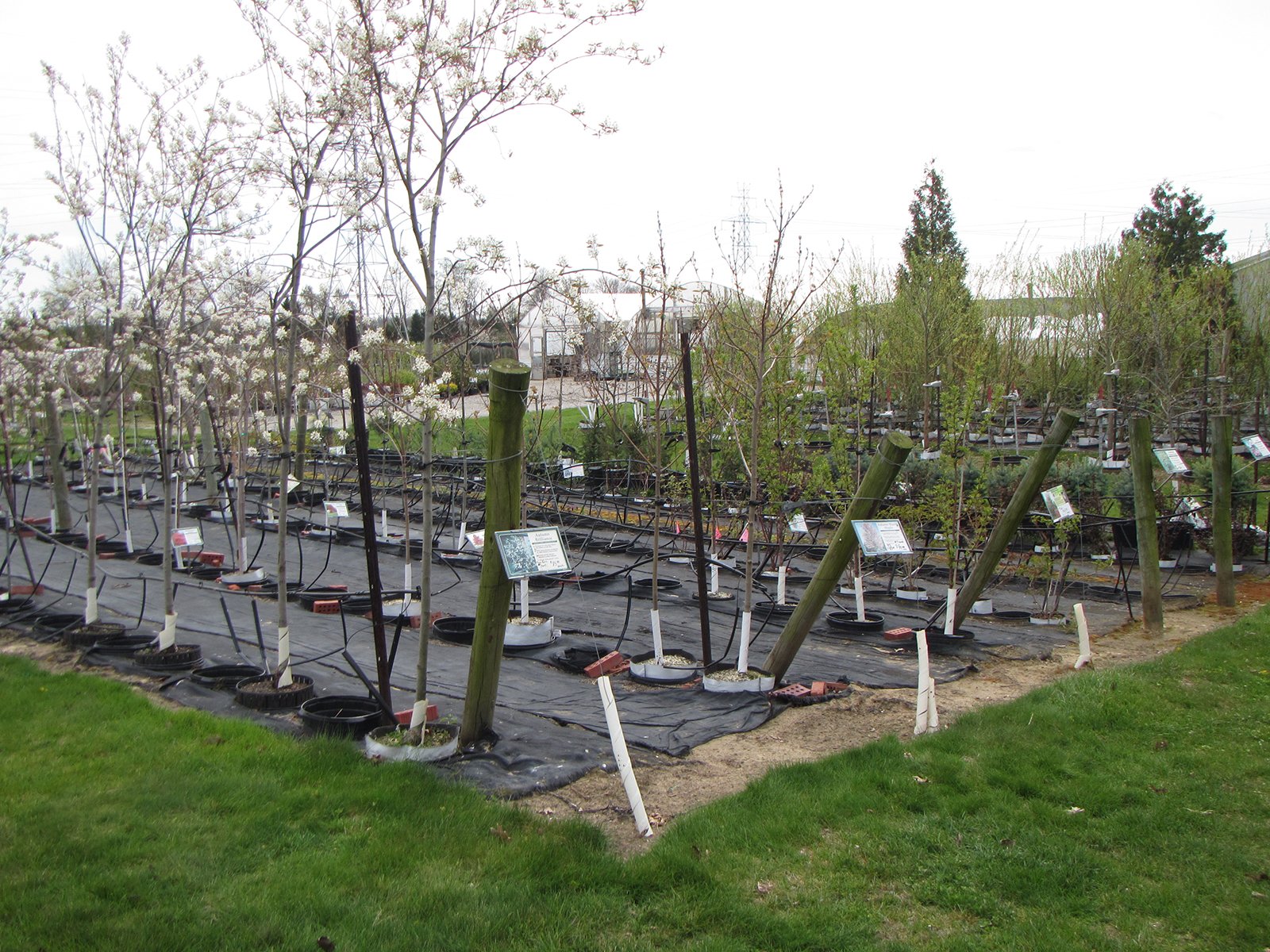 Property photo 27 - PERSONAL PROPERTY AUCTION IN ALLEN COUNTY, INDIANA