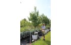 Property photo 28 - PERSONAL PROPERTY AUCTION IN ALLEN COUNTY, INDIANA