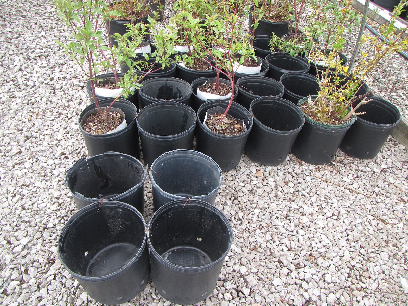 Property photo 33 - PERSONAL PROPERTY AUCTION IN ALLEN COUNTY, INDIANA