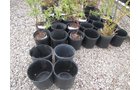 Property photo 33 - PERSONAL PROPERTY AUCTION IN ALLEN COUNTY, INDIANA