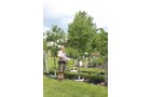 Property photo 32 - PERSONAL PROPERTY AUCTION IN ALLEN COUNTY, INDIANA