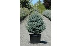 Property photo 35 - PERSONAL PROPERTY AUCTION IN ALLEN COUNTY, INDIANA