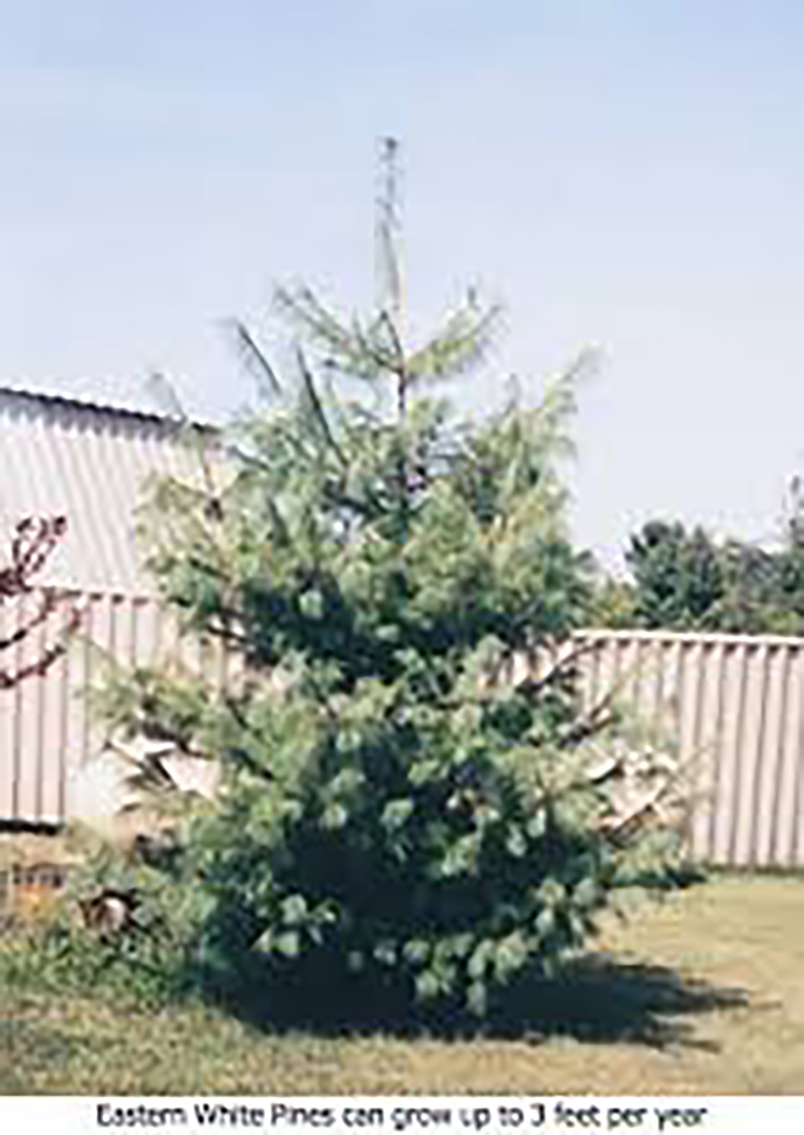 Property photo 36 - PERSONAL PROPERTY AUCTION IN ALLEN COUNTY, INDIANA