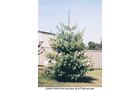 Property photo 36 - PERSONAL PROPERTY AUCTION IN ALLEN COUNTY, INDIANA