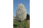 Property photo 37 - PERSONAL PROPERTY AUCTION IN ALLEN COUNTY, INDIANA