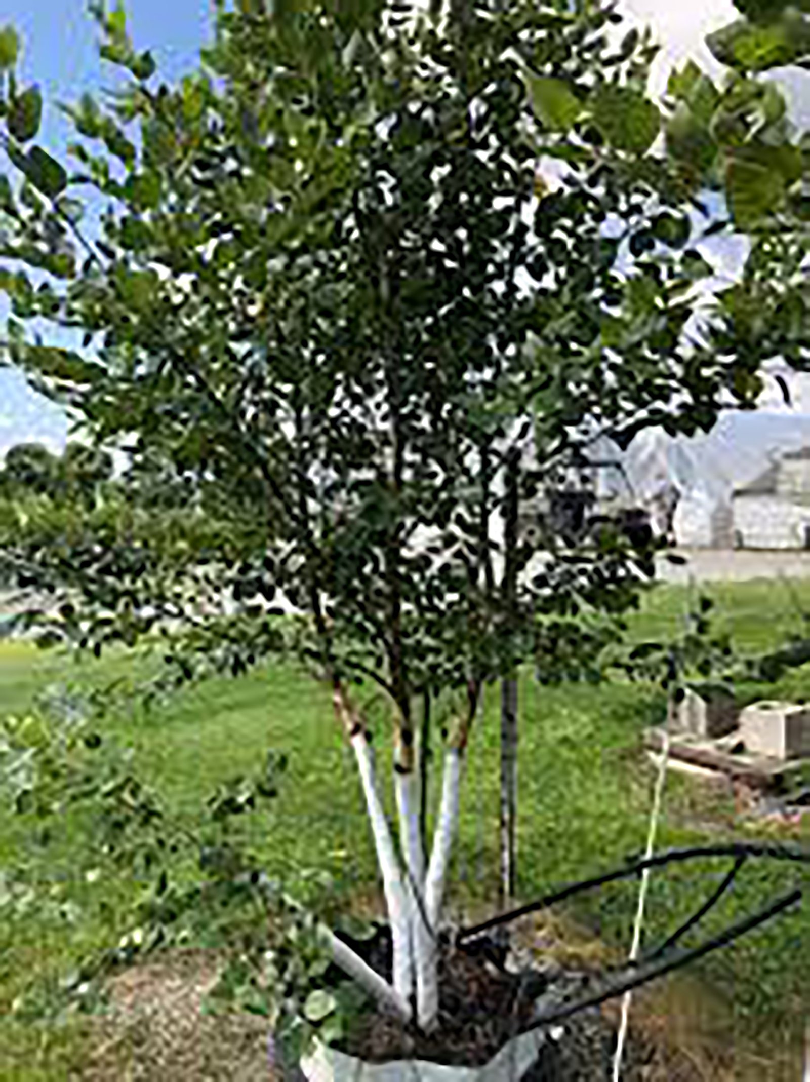 Property photo 38 - PERSONAL PROPERTY AUCTION IN ALLEN COUNTY, INDIANA