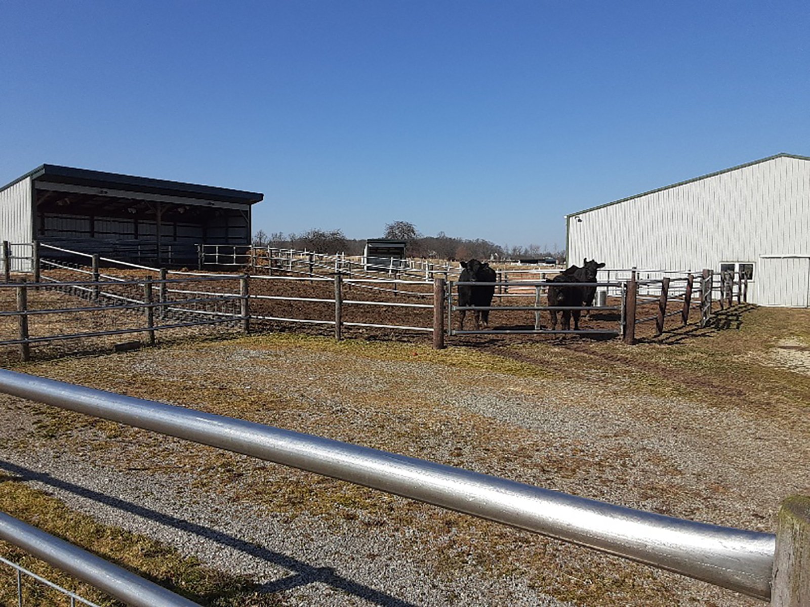 Home in Allen County, Indiana - REAL ESTATE & PERSONAL PROPERTY AUCTION - 4+/- ACRES IN ALLEN COUNTY, INDIANA