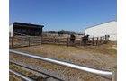 Home in Allen County, Indiana - REAL ESTATE & PERSONAL PROPERTY AUCTION - 4+/- ACRES IN ALLEN COUNTY, INDIANA