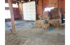 Inside Barn in Allen County, Indiana - REAL ESTATE & PERSONAL PROPERTY AUCTION - 4+/- ACRES IN ALLEN COUNTY, INDIANA