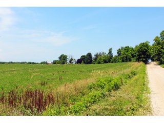 Tract 24 in Wabash County, Indiana - ABSOLUTE REAL ESTATE AUCTION - 20 HOMES, RENTAL PROPERTIES & 19+/- ACRES WITH HOME IN WABASH, WHITLEY & ALLEN COUNTIES, INDIANA