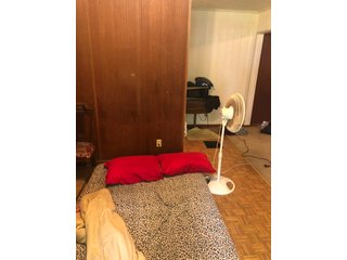 Inside Home on Tract 3 in Wabash County, Indiana - ABSOLUTE REAL ESTATE AUCTION - 20 HOMES, RENTAL PROPERTIES & 19+/- ACRES WITH HOME IN WABASH, WHITLEY & ALLEN COUNTIES, INDIANA
