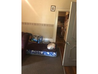 Inside Home on Tract 2 in Wabash County, Indiana - ABSOLUTE REAL ESTATE AUCTION - 20 HOMES, RENTAL PROPERTIES & 19+/- ACRES WITH HOME IN WABASH, WHITLEY & ALLEN COUNTIES, INDIANA