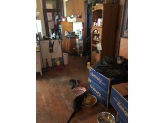 Inside Home on Tract 4 in Wabash County, Indiana - ABSOLUTE REAL ESTATE AUCTION - 20 HOMES, RENTAL PROPERTIES & 19+/- ACRES WITH HOME IN WABASH, WHITLEY & ALLEN COUNTIES, INDIANA