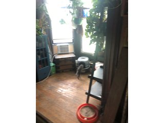 Inside Home on Tract 4 in Wabash County, Indiana - ABSOLUTE REAL ESTATE AUCTION - 20 HOMES, RENTAL PROPERTIES & 19+/- ACRES WITH HOME IN WABASH, WHITLEY & ALLEN COUNTIES, INDIANA