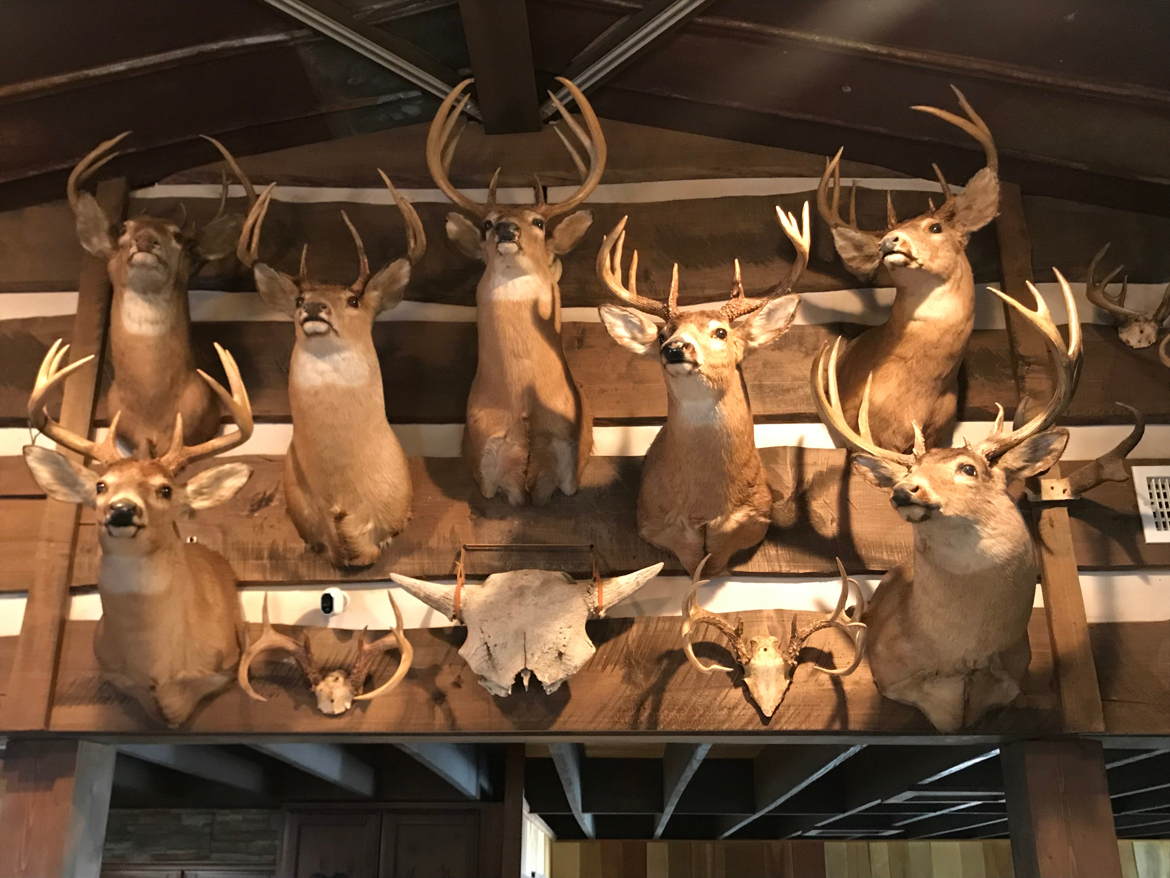 Property photo 2 - ONLINE ONLY PERSONAL PROPERTY AUCTION IN WHITLEY COUNTY, INDIANA