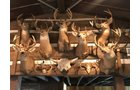 Property photo 2 - ONLINE ONLY PERSONAL PROPERTY AUCTION IN WHITLEY COUNTY, INDIANA