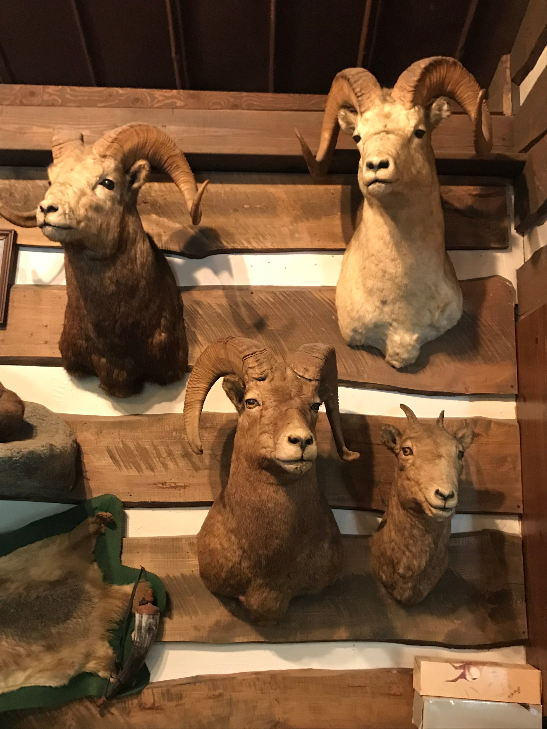 Property photo 3 - ONLINE ONLY PERSONAL PROPERTY AUCTION IN WHITLEY COUNTY, INDIANA