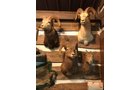 Property photo 3 - ONLINE ONLY PERSONAL PROPERTY AUCTION IN WHITLEY COUNTY, INDIANA